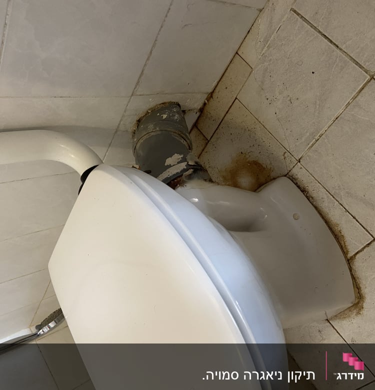 אסלה עם צינור ניקוז וחיבורי אינסטלציה